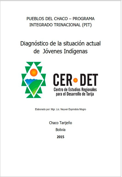 Diagnóstico de la situación actual de  Jóvenes Indígenas