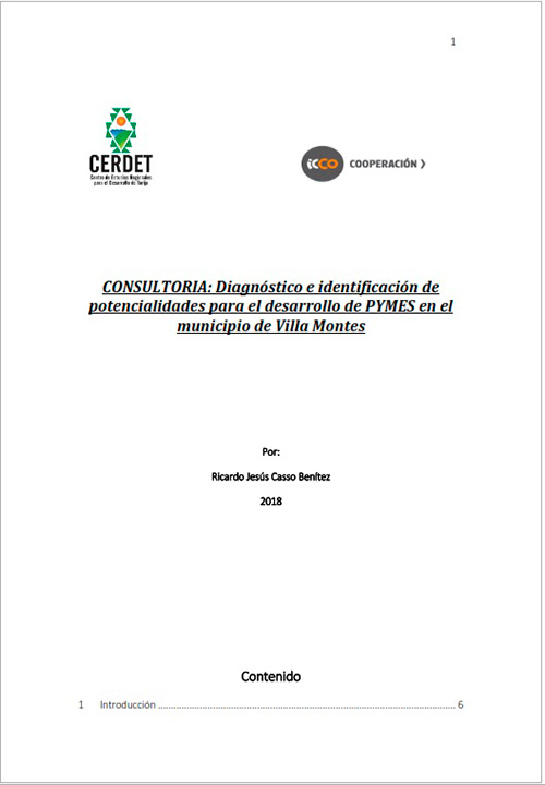 Diagnóstico e identificación de potencialidades para el desarrollo de PYMES en el municipio de Villa Montes