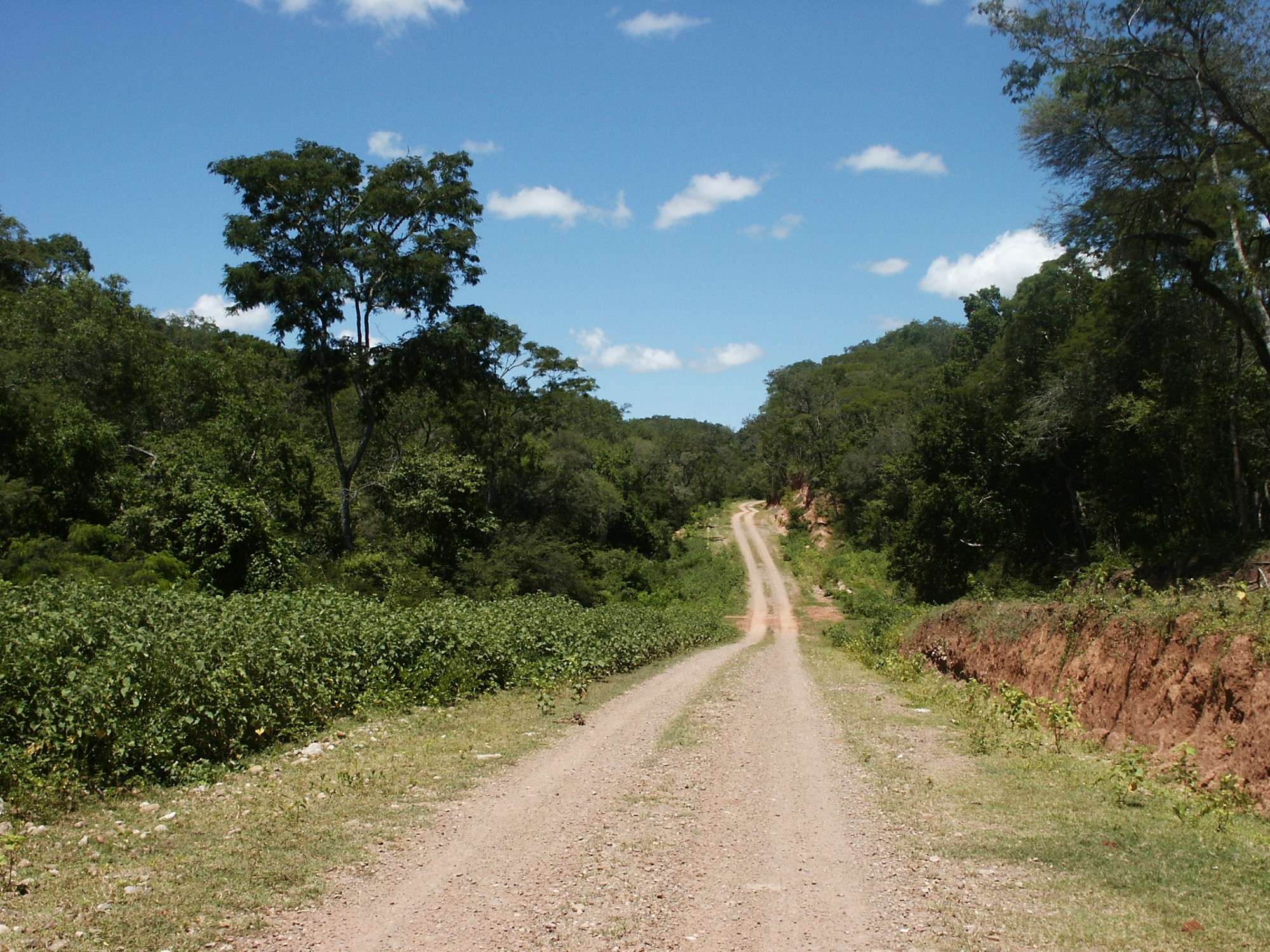 Paisaje Chaqueño. Aventura en el monte.