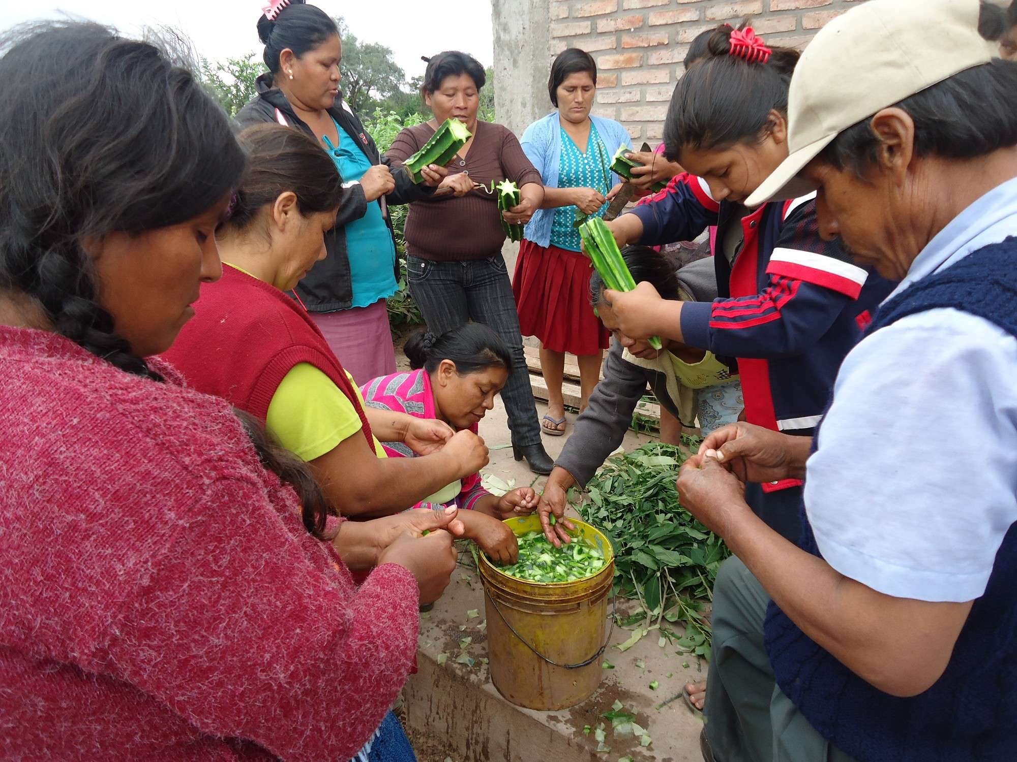 Procesos de producción tradicionales en comunidad.