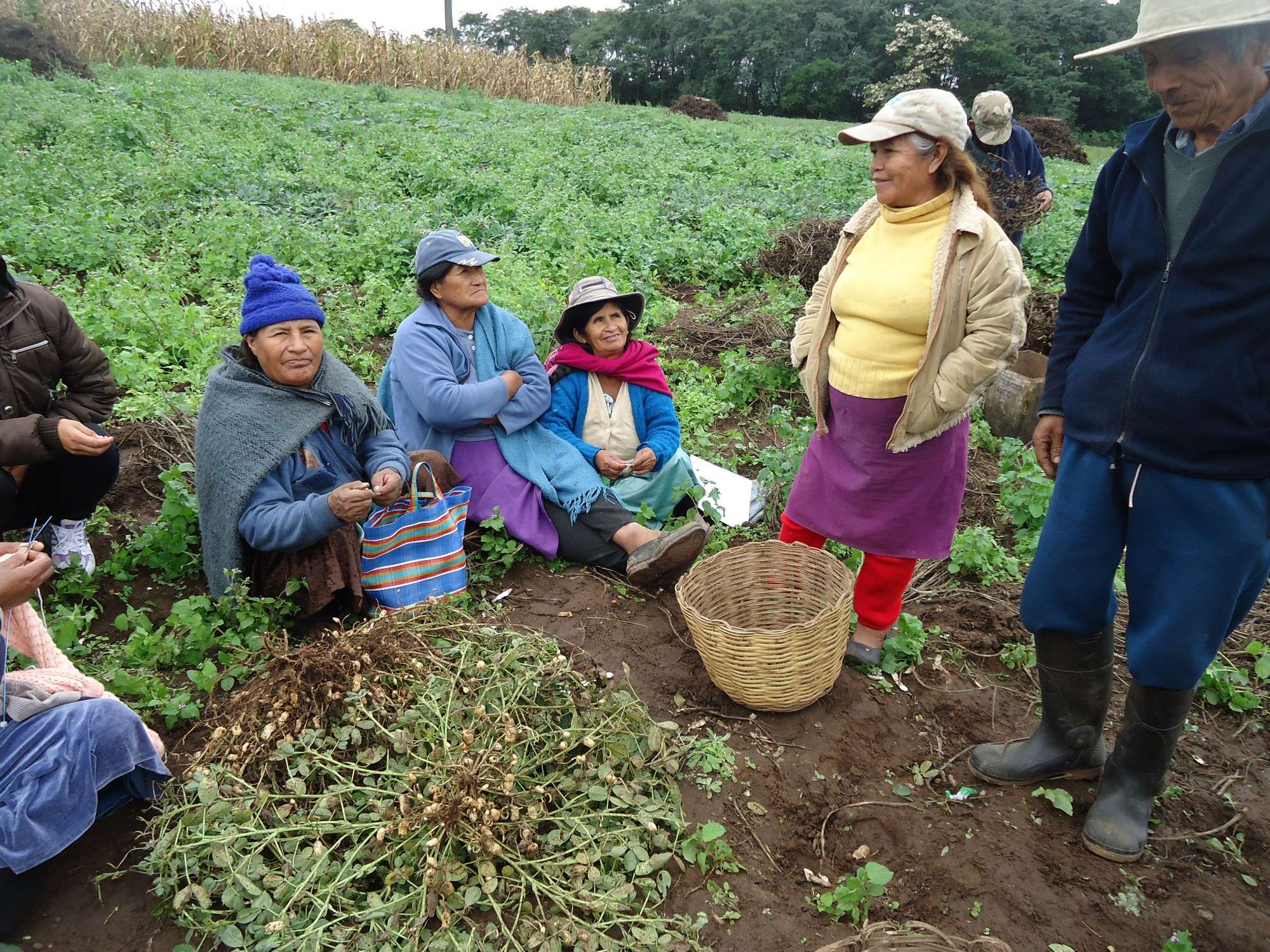 Producción agrícola en las comunidades del Chaco.