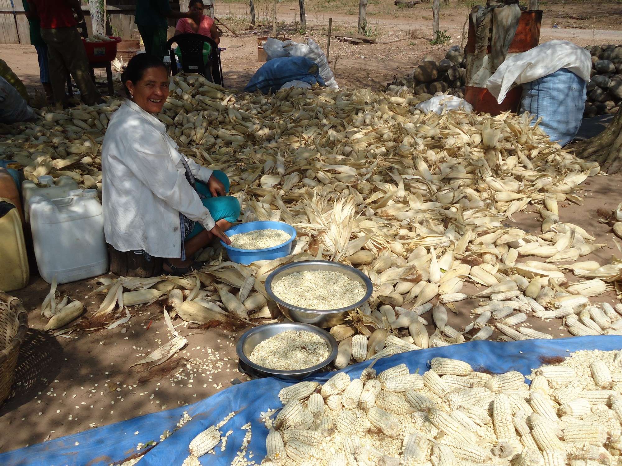 Producción agrícola en las comunidades del Chaco.