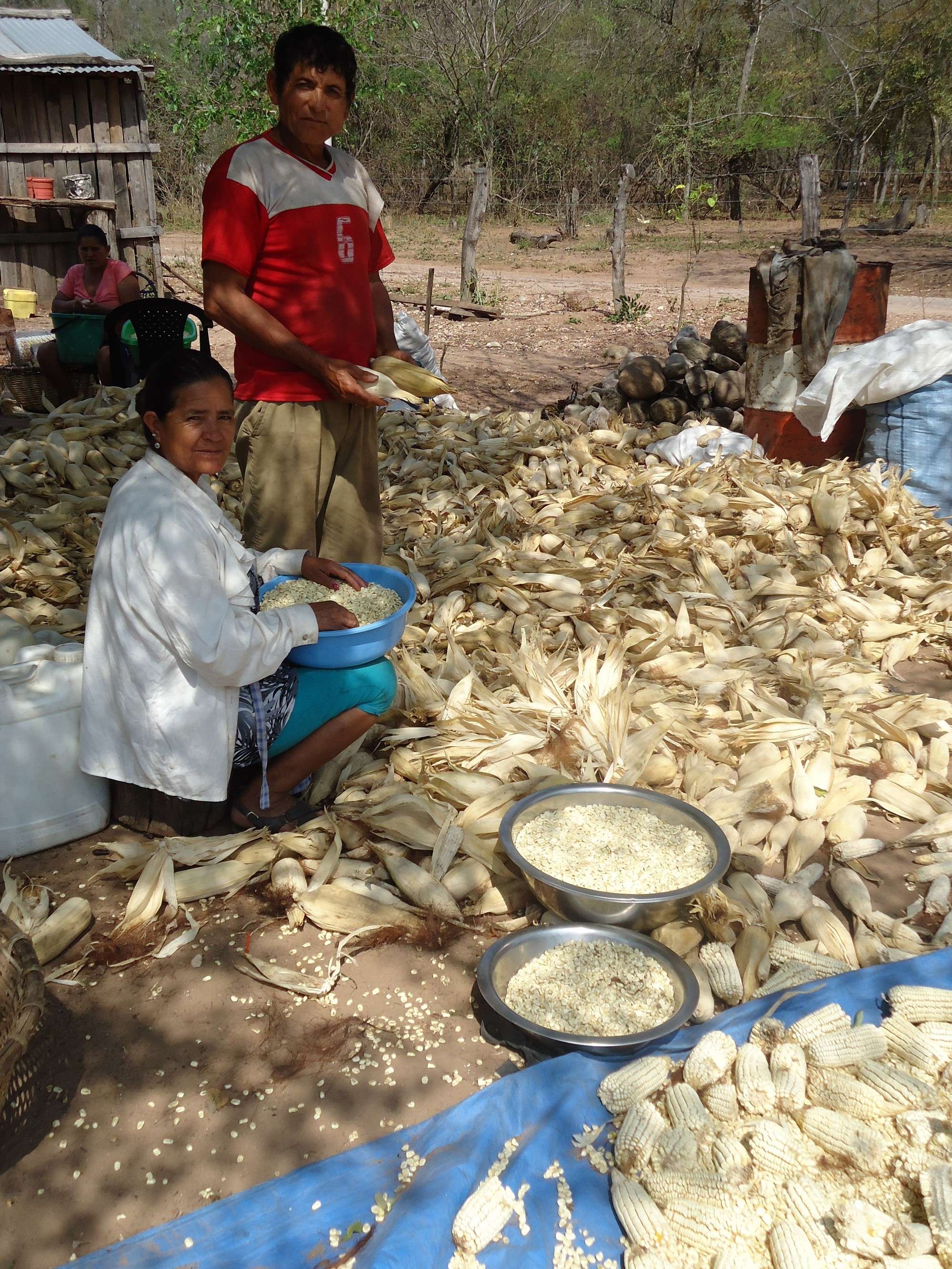 Producción agrícola en las comunidades del Chaco.