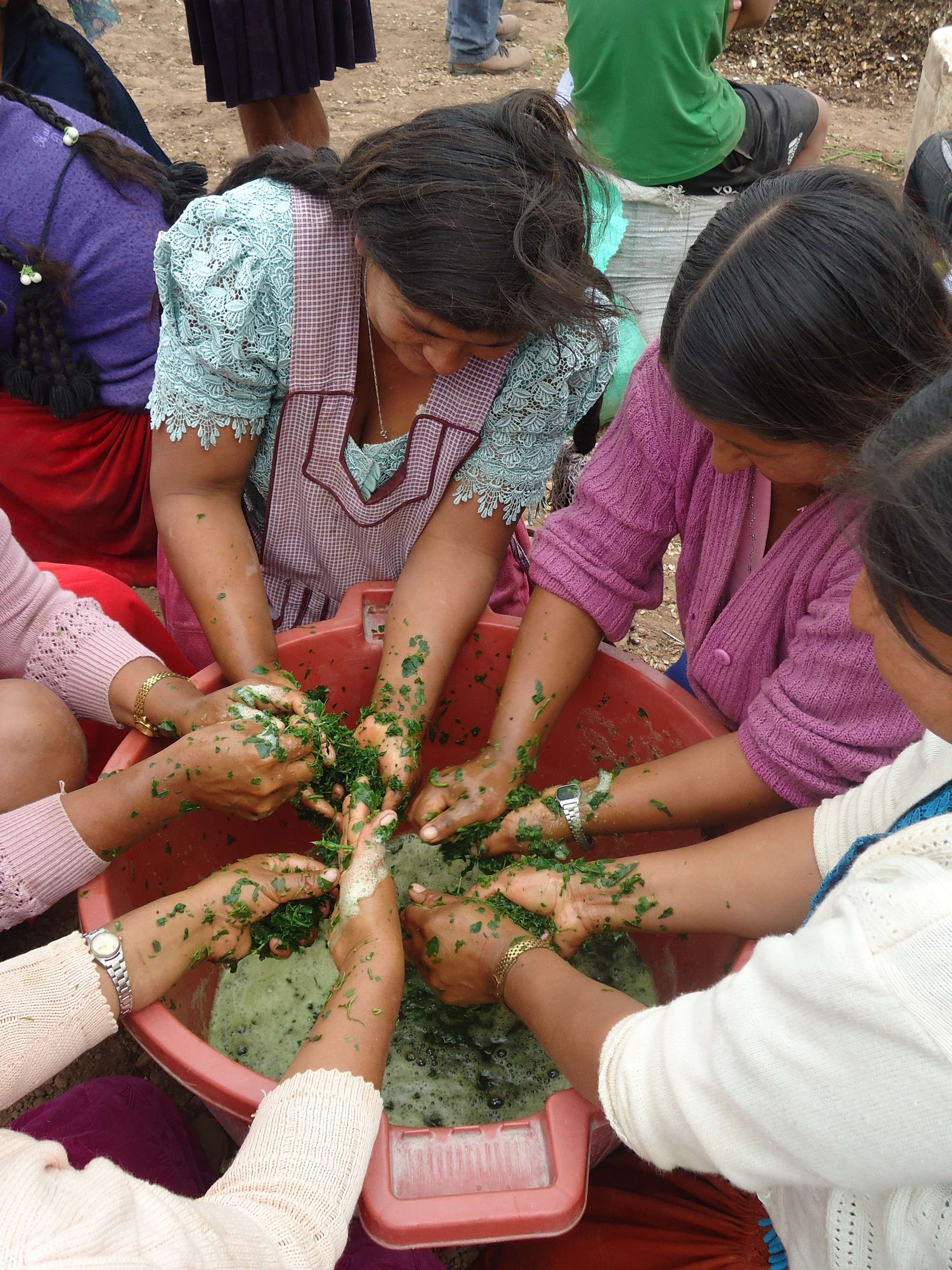 Procesos de producción tradicional en las comunidades del Chaco.