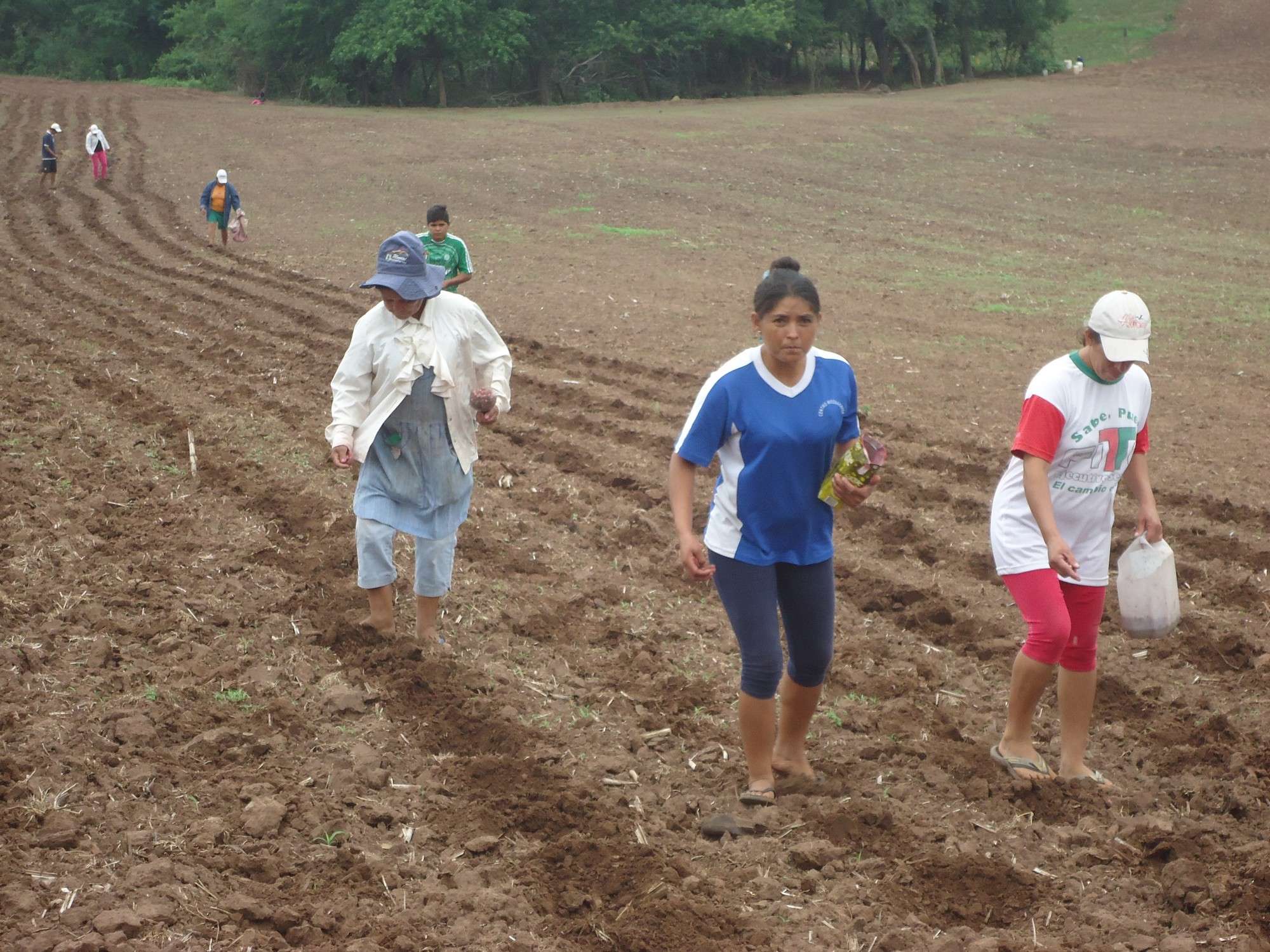 Producción agrícola sostenible en las comunidades del Chaco.