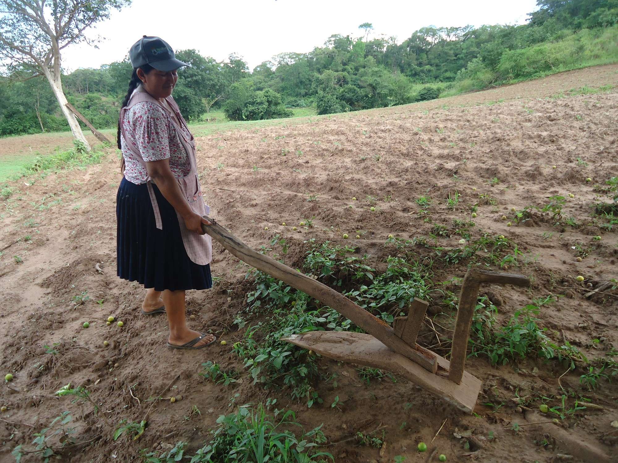 Producción agrícola sostenible en las comunidades del Chaco.