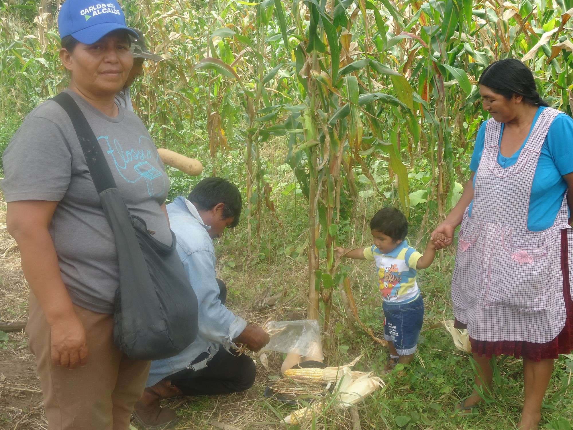 Producción agrícola sostenible en favor de la soberanía alimentaria de las comunidades del Gran Chac