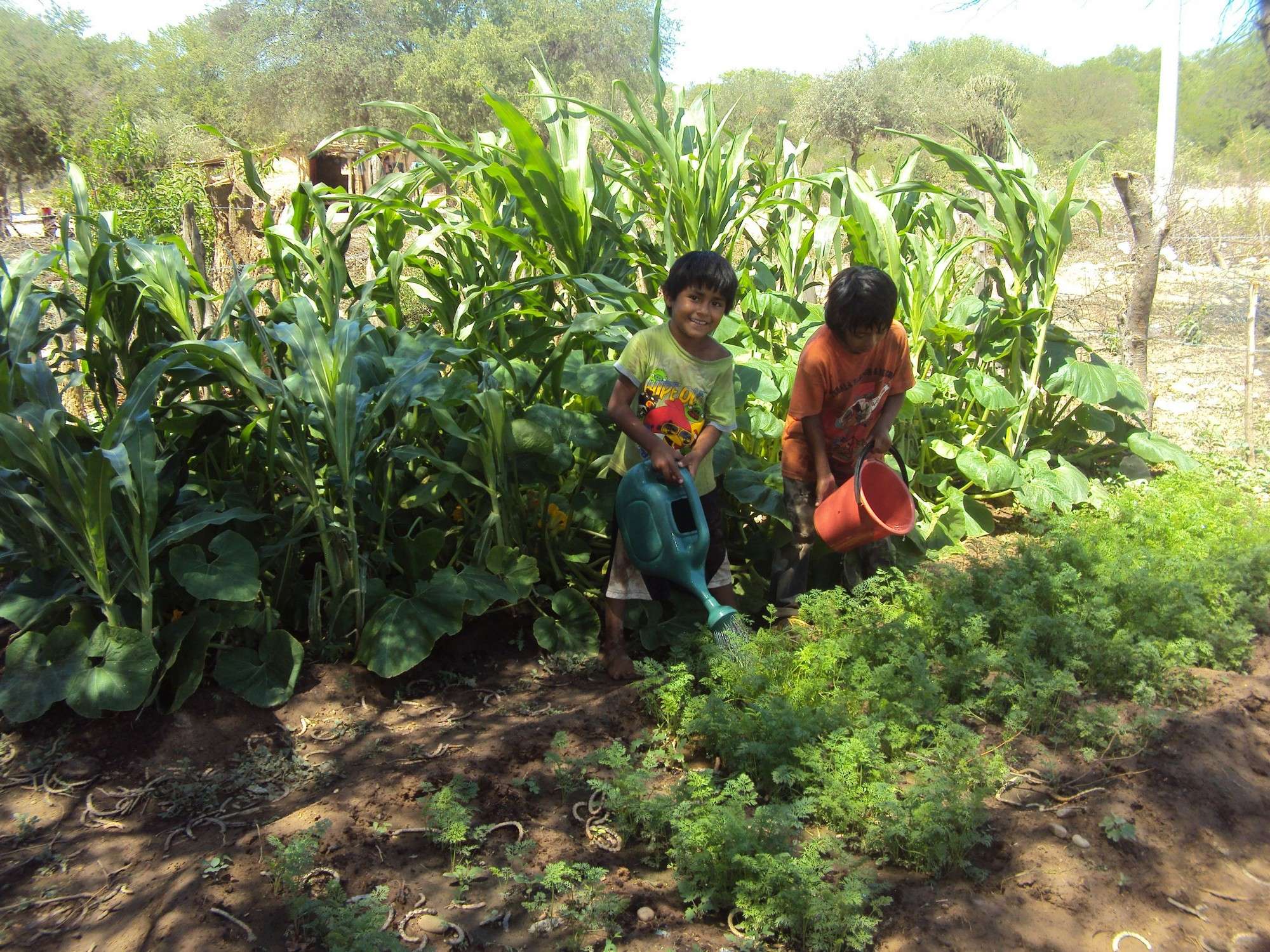 Huertos agroecológicos en comunidades Weenhayek.