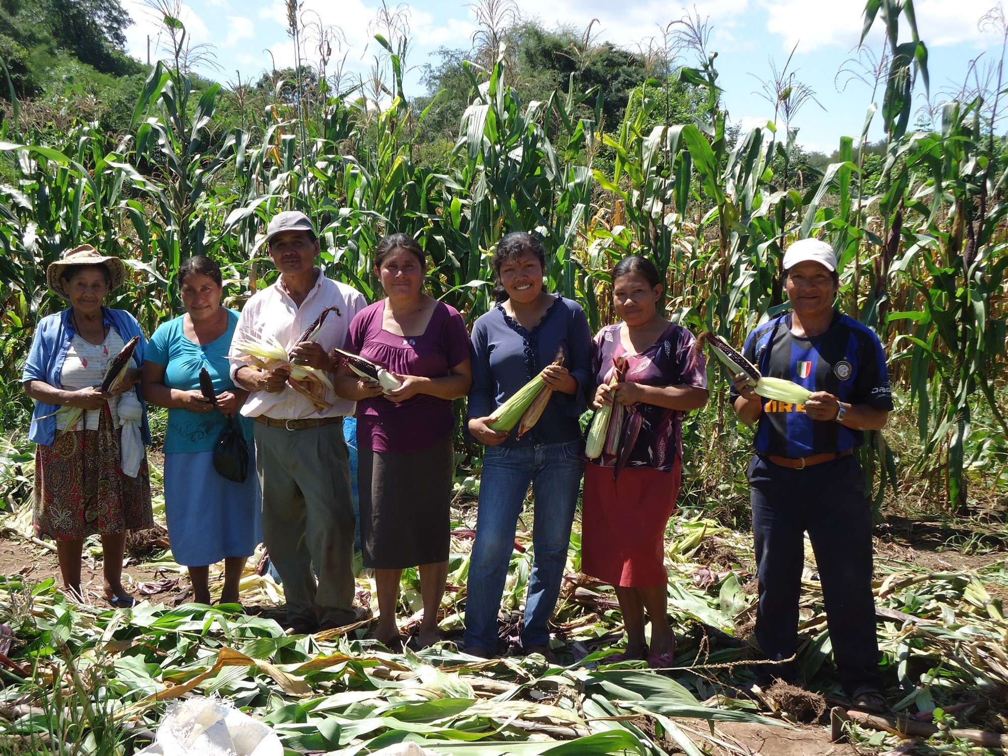 Producción agroecológica en comunidad.
