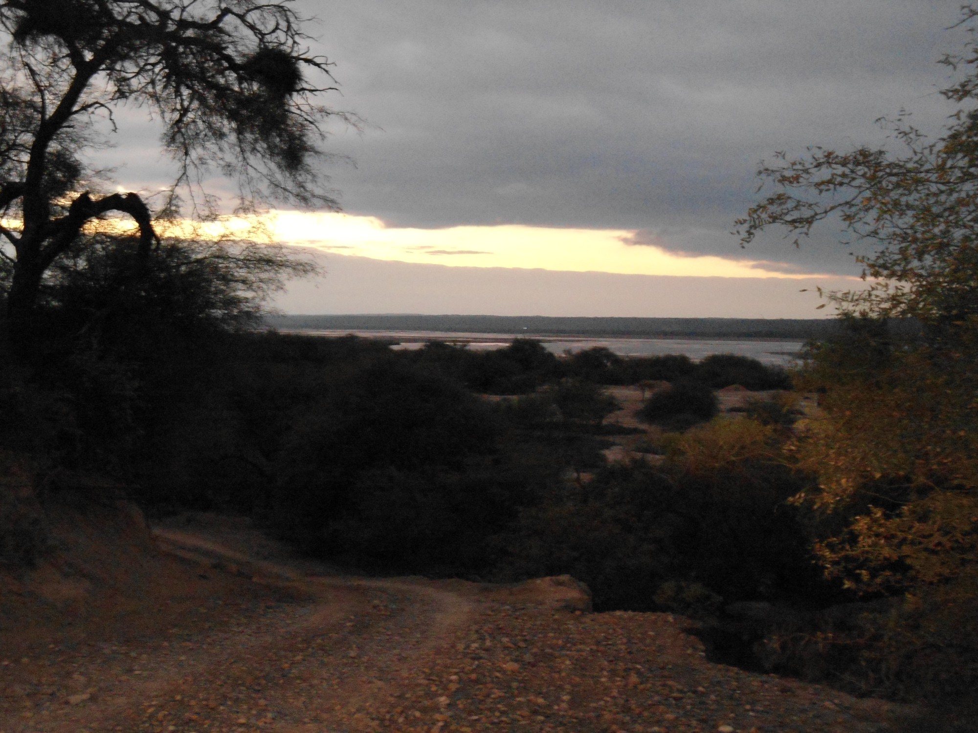 Paisaje Chaqueño.