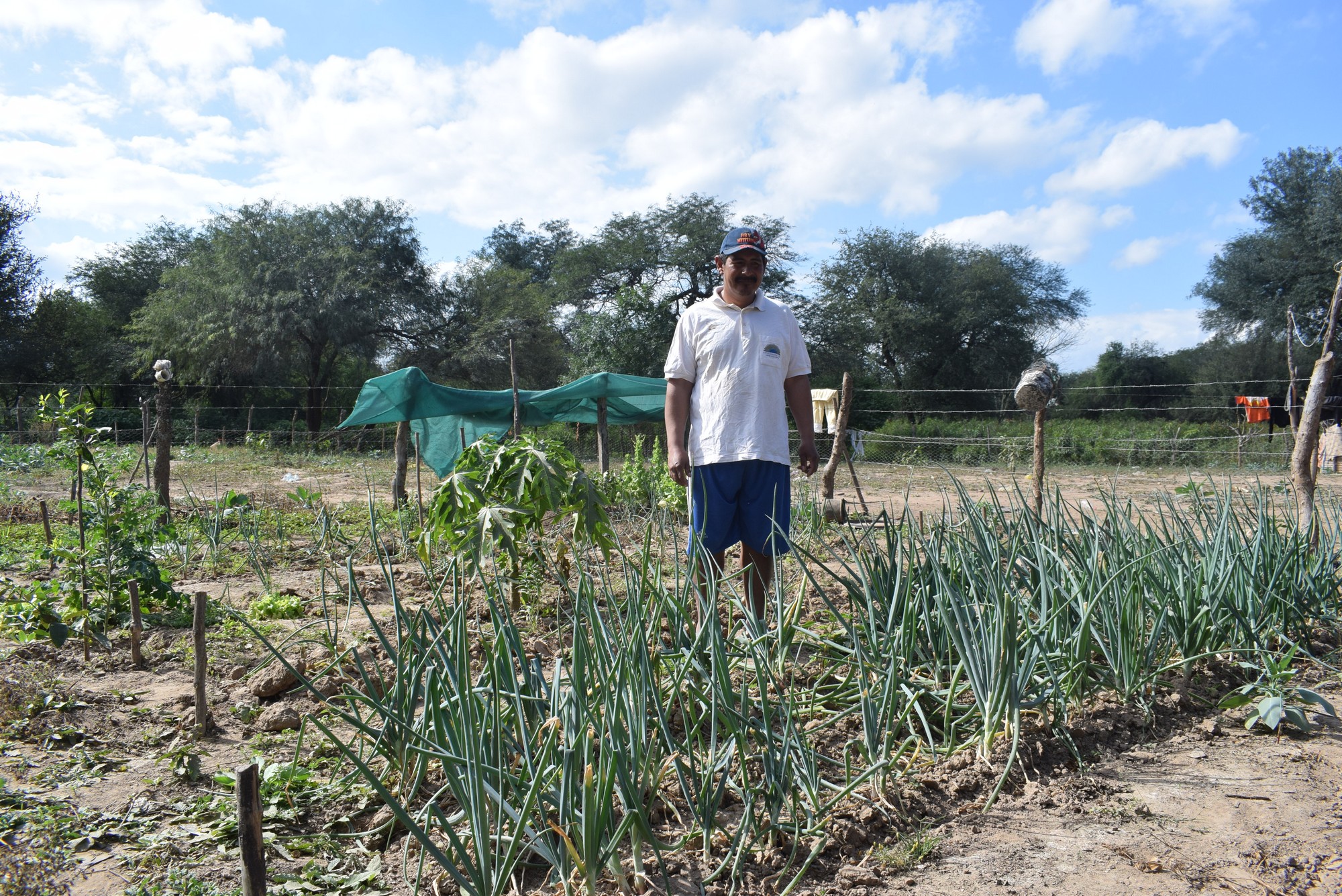 Producción agricola en territorio Weenhayek.