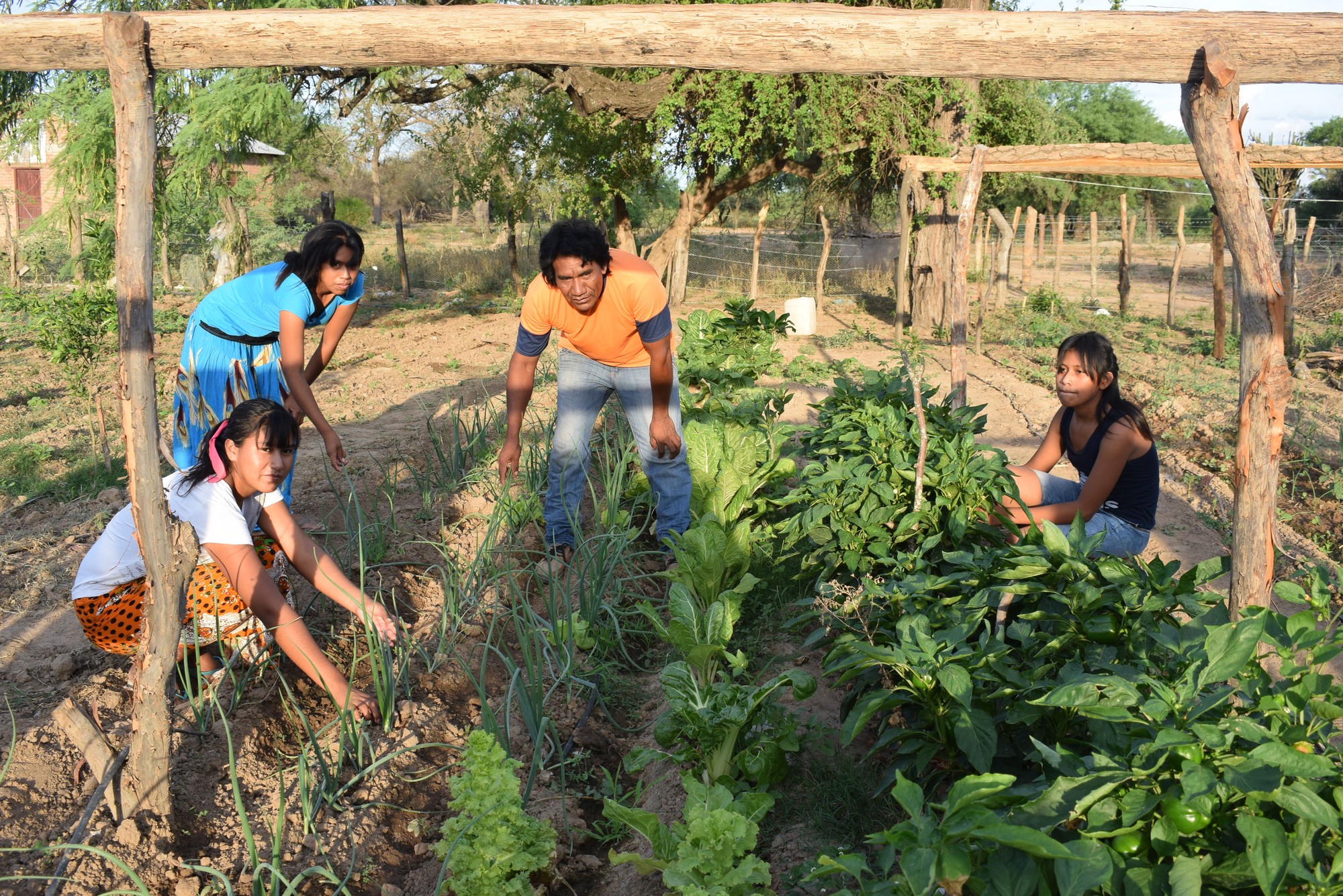 Producción agricola en territorio Weenhayek.
