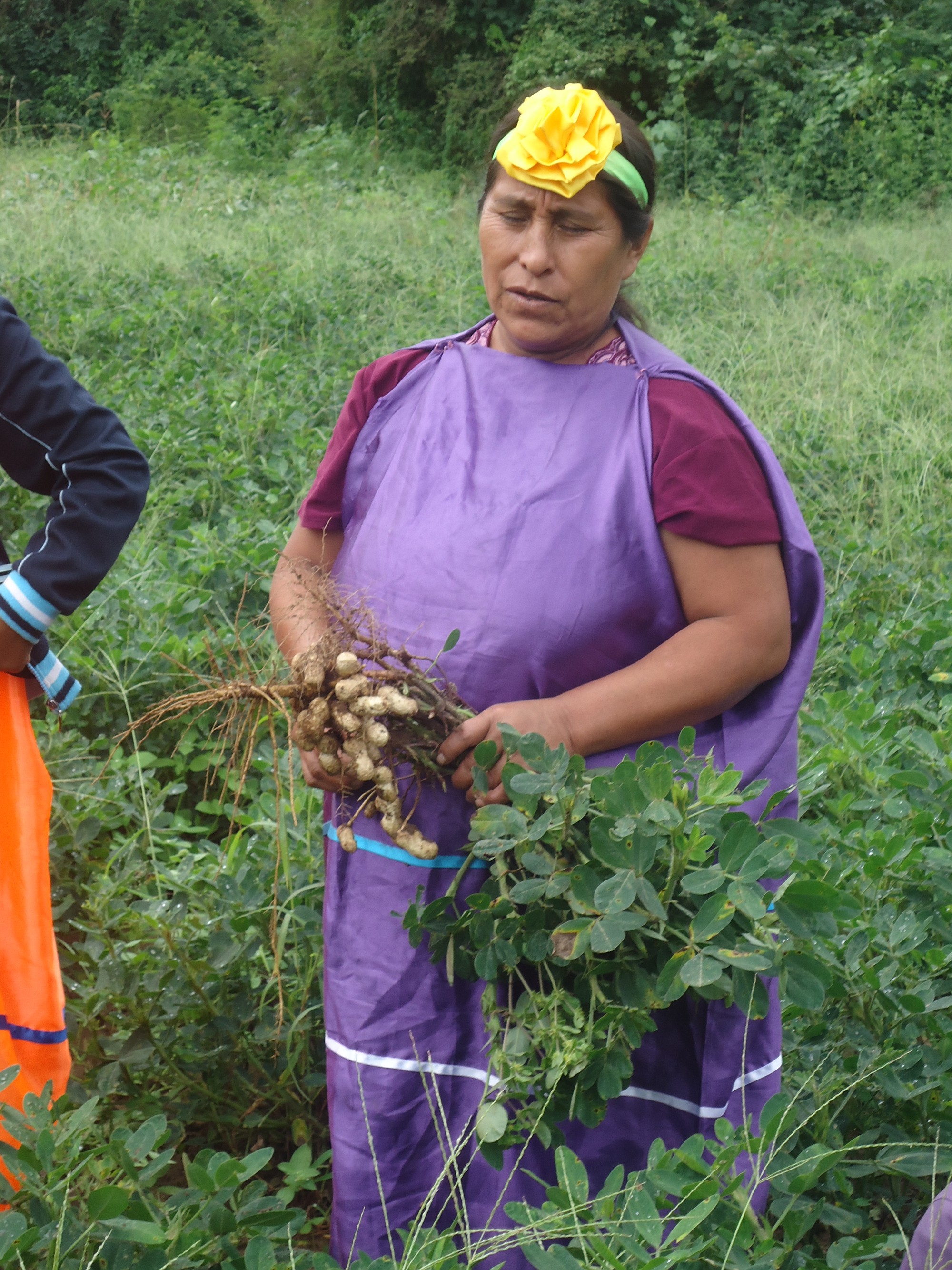 Productoras Guaraníes.